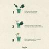 12 Lápices SproutWorld Everyday Earth™ (Producción)