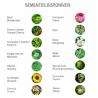12 Lápices SproutWorld Everyday Earth™ (Producción)