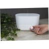 Humidificateur aromatique 4 en 1 Prixton Connecté Prixton®