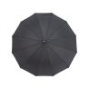 Parapluie exécutif