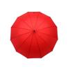 Parapluie exécutif