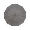 Parapluie exécutif