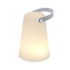 Tuxfan Lamp