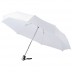 Parapluie ouverture et fermeture automatique de 21,5" Alex