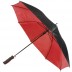 Parapluie Birain
